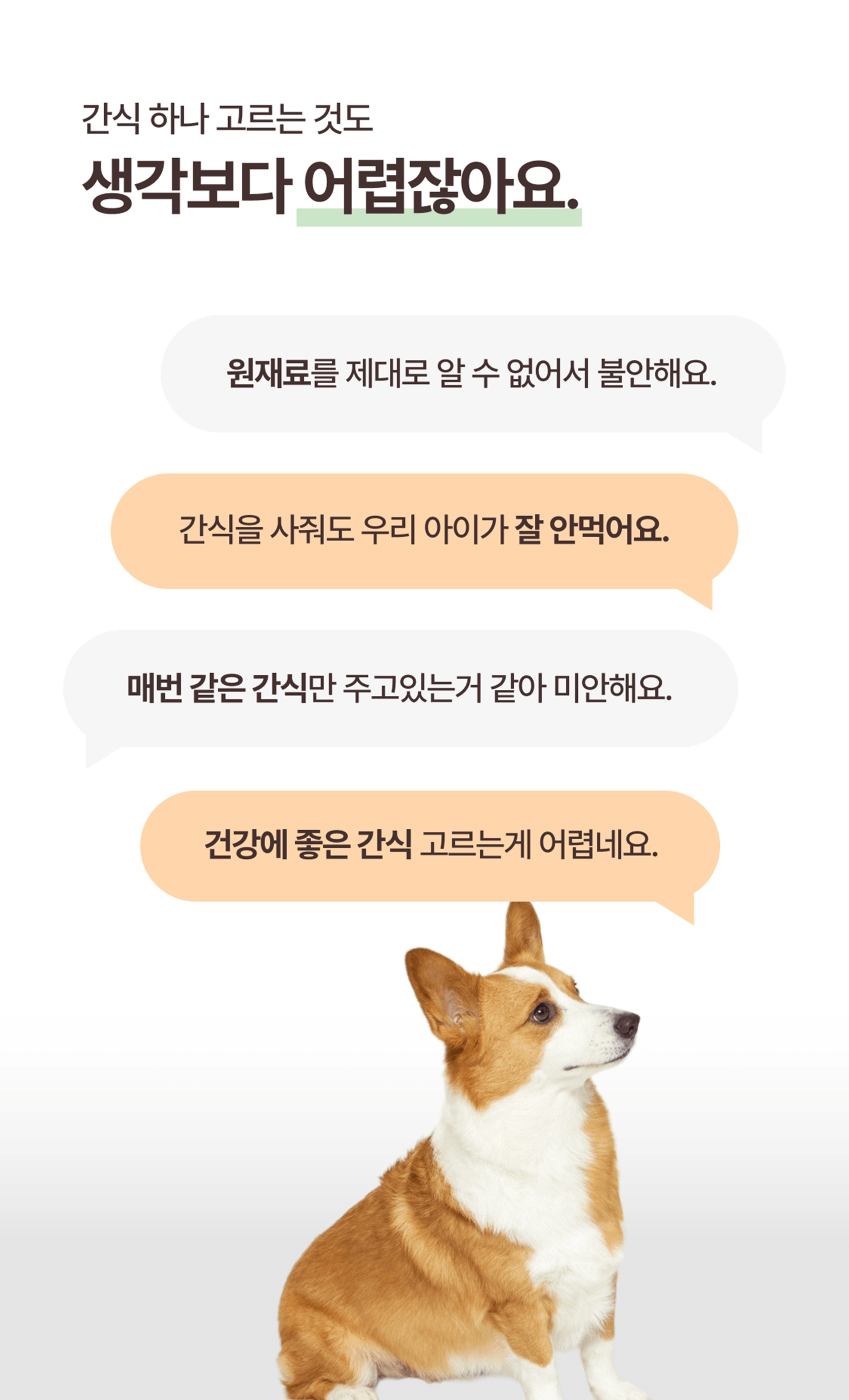 베이직 패키지 BOX 구독정보 상세 이미지 2