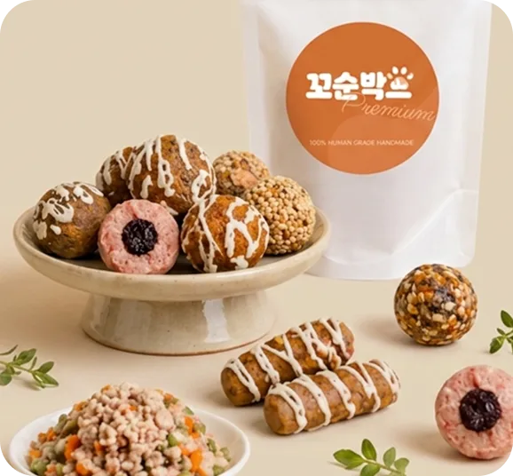 꼬순박스 간식과 패키지