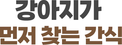강아지가 먼저 찾는 간식