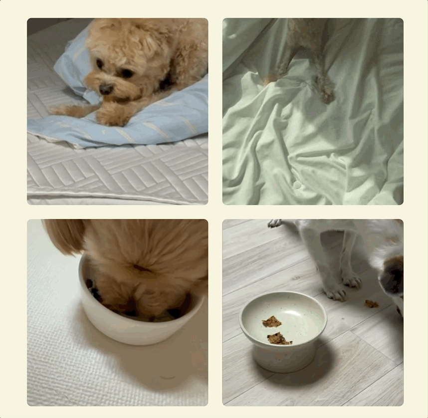 베이직 패키지 BOX 구독정보 상세 이미지 4