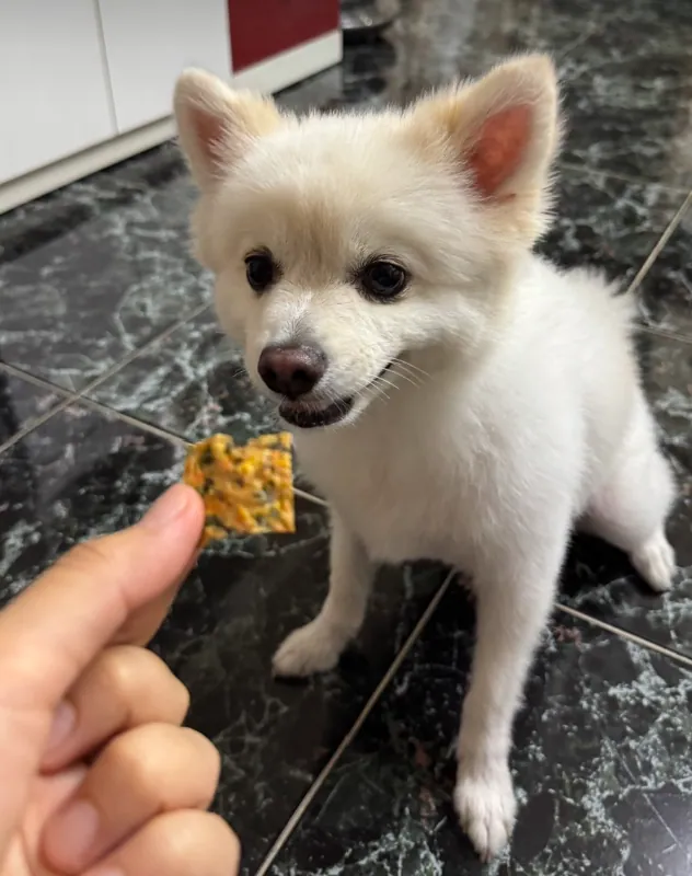 16번 리뷰 사진